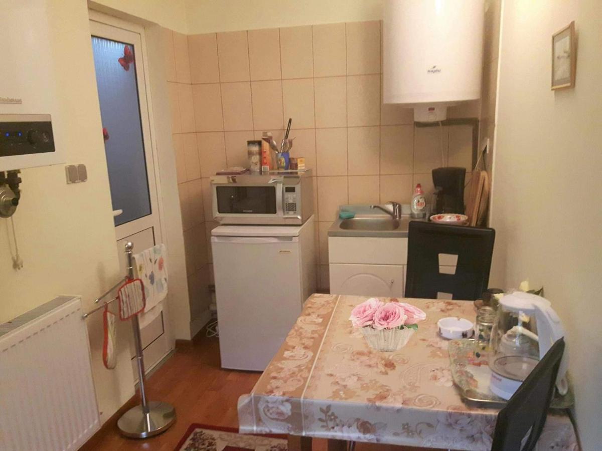 Harmonia Studio Apartamento Braşov Exterior foto